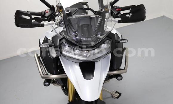 Buy Used Triumph Tiger White Bike in Quthing in Butha-Buthe Buy Used Triumph Tiger White Bike in Quthing in Butha-Buthe