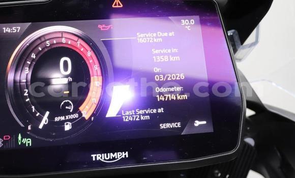 Buy Used Triumph Tiger White Bike in Quthing in Butha-Buthe Buy Used Triumph Tiger White Bike in Quthing in Butha-Buthe