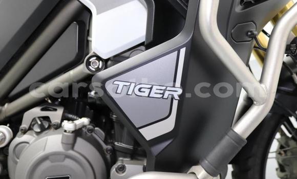Buy Used Triumph Tiger White Bike in Quthing in Butha-Buthe Buy Used Triumph Tiger White Bike in Quthing in Butha-Buthe