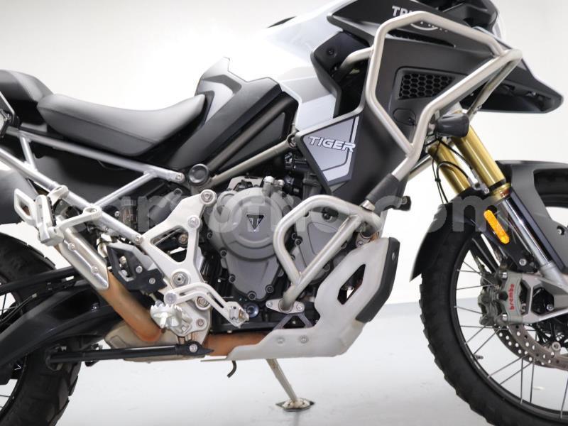 Big with watermark triumph tiger butha buthe quthing 31913