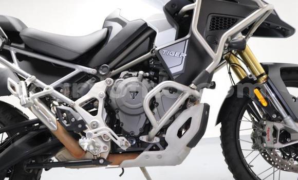 Buy Used Triumph Tiger White Bike in Quthing in Butha-Buthe Buy Used Triumph Tiger White Bike in Quthing in Butha-Buthe