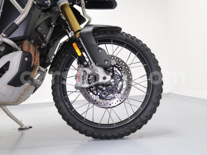 Big with watermark triumph tiger butha buthe quthing 31913
