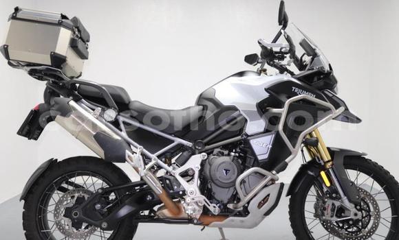 Buy Used Triumph Tiger White Bike in Quthing in Butha-Buthe Buy Used Triumph Tiger White Bike in Quthing in Butha-Buthe