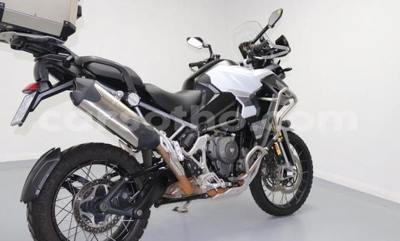 Buy Used Triumph Tiger White Bike in Quthing in Butha-Buthe Buy Used Triumph Tiger White Bike in Quthing in Butha-Buthe