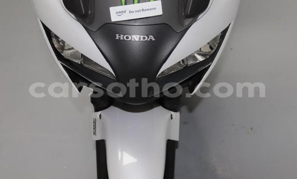 Buy Used Honda CBF White Bike in Qacha's Nek in Quthing Buy Used Honda CBF White Bike in Qacha's Nek in Quthing