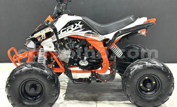 Buy Used Big Bear Choppers GTX White Bike in Maseru in Maseru Buy Used Big Bear Choppers GTX White Bike in Maseru in Maseru