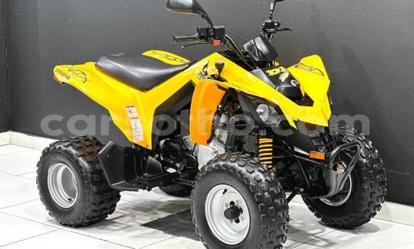 Buy Used Booma CG150 Green Bike in Maputsoe in Leribe