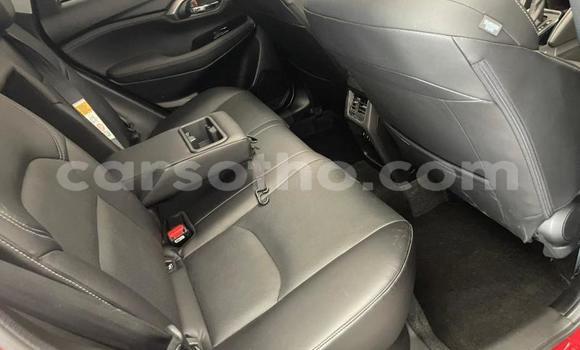 Buy Used Suzuki Grand Vitara Red Car in Peka in Leribe Buy Used Suzuki Grand Vitara Red Car in Peka in Leribe
