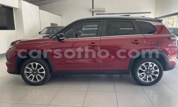 Buy Used Suzuki Grand Vitara Red Car in Peka in Leribe Buy Used Suzuki Grand Vitara Red Car in Peka in Leribe