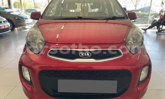 Buy Used Kia Picanto Red Car in Mohale's Hoek in Mohale's Hoek Buy Used Kia Picanto Red Car in Mohale's Hoek in Mohale's Hoek