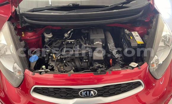 Buy Used Kia Picanto Red Car in Mohale's Hoek in Mohale's Hoek Buy Used Kia Picanto Red Car in Mohale's Hoek in Mohale's Hoek