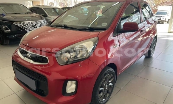 Buy Used Kia Picanto Red Car in Mohale's Hoek in Mohale's Hoek Buy Used Kia Picanto Red Car in Mohale's Hoek in Mohale's Hoek