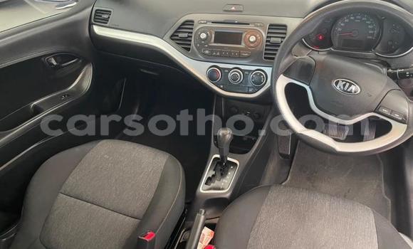 Buy Used Kia Picanto Red Car in Mohale's Hoek in Mohale's Hoek Buy Used Kia Picanto Red Car in Mohale's Hoek in Mohale's Hoek