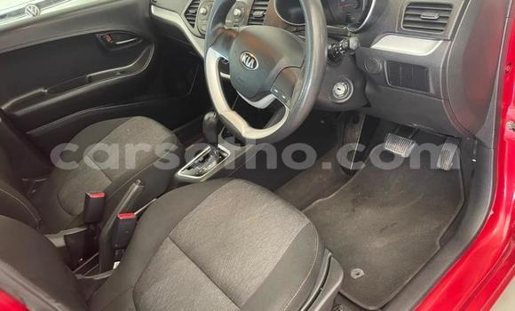 Buy Used Kia Picanto Red Car in Mohale's Hoek in Mohale's Hoek Buy Used Kia Picanto Red Car in Mohale's Hoek in Mohale's Hoek