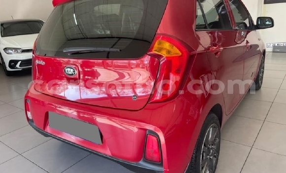 Buy Used Kia Picanto Red Car in Mohale's Hoek in Mohale's Hoek Buy Used Kia Picanto Red Car in Mohale's Hoek in Mohale's Hoek