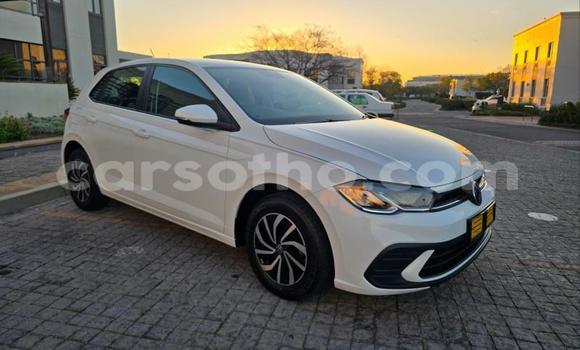 Buy Used Volkswagen Polo White Car in Maseru in Maseru Buy Used Volkswagen Polo White Car in Maseru in Maseru