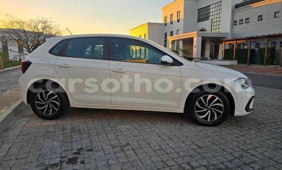 Buy Used Volkswagen Polo White Car in Maseru in Maseru Buy Used Volkswagen Polo White Car in Maseru in Maseru