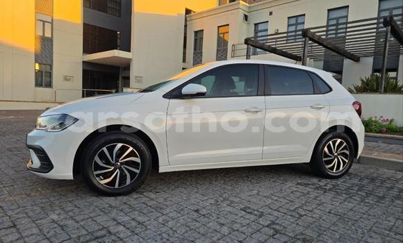 Buy Used Volkswagen Polo White Car in Maseru in Maseru Buy Used Volkswagen Polo White Car in Maseru in Maseru