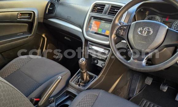 Buy Used Toyota Urban Cruiser Silver Car in Maseru in Maseru Buy Used Toyota Urban Cruiser Silver Car in Maseru in Maseru