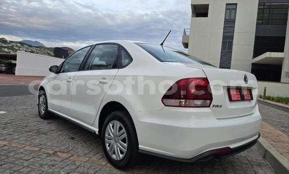 Buy Used Volkswagen Polo White Car in Maseru in Maseru Buy Used Volkswagen Polo White Car in Maseru in Maseru