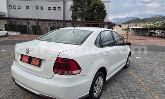 Buy Used Volkswagen Polo White Car in Maseru in Maseru Buy Used Volkswagen Polo White Car in Maseru in Maseru