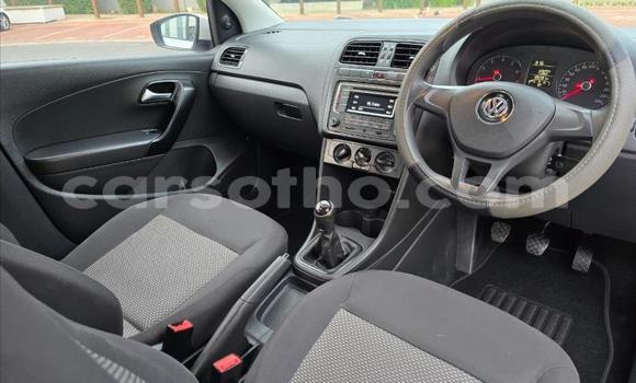 Buy Used Volkswagen Polo White Car in Maseru in Maseru Buy Used Volkswagen Polo White Car in Maseru in Maseru