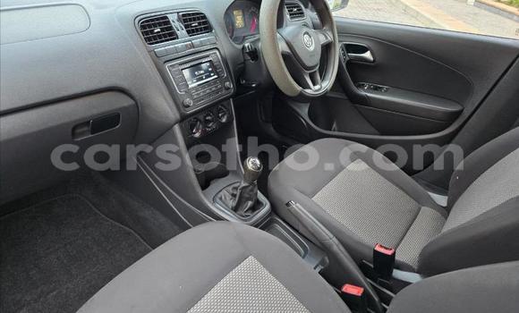 Buy Used Volkswagen Polo White Car in Maseru in Maseru Buy Used Volkswagen Polo White Car in Maseru in Maseru