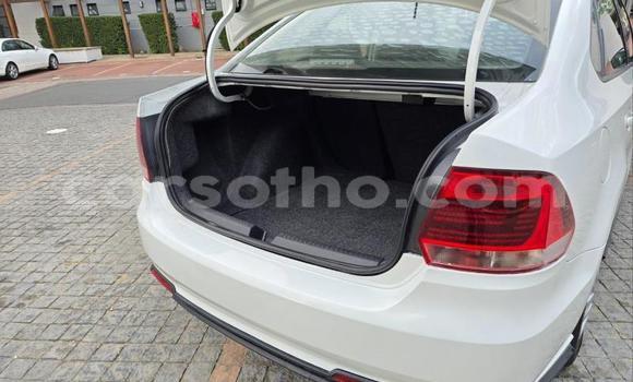 Buy Used Volkswagen Polo White Car in Maseru in Maseru Buy Used Volkswagen Polo White Car in Maseru in Maseru