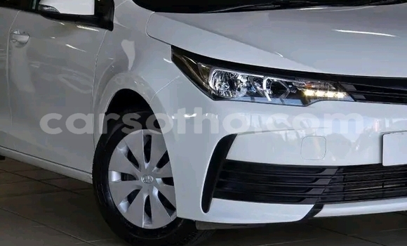 اشتري مستعمل Toyota Corolla White سيارة في Maseru في Maseru اشتري مستعمل Toyota Corolla White سيارة في Maseru في Maseru