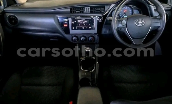 اشتري مستعمل Toyota Corolla White سيارة في Maseru في Maseru اشتري مستعمل Toyota Corolla White سيارة في Maseru في Maseru