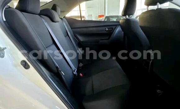 اشتري مستعمل Toyota Corolla White سيارة في Maseru في Maseru اشتري مستعمل Toyota Corolla White سيارة في Maseru في Maseru