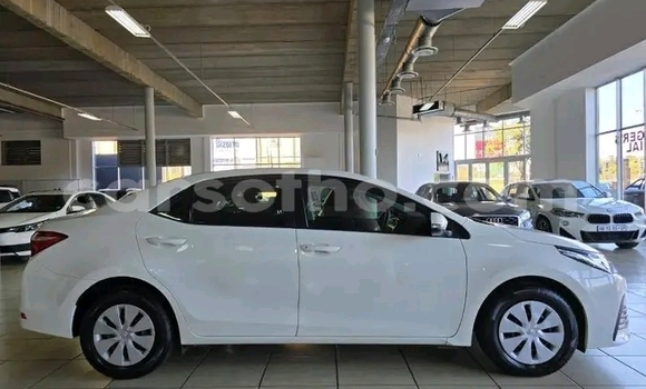 اشتري مستعمل Toyota Corolla White سيارة في Maseru في Maseru اشتري مستعمل Toyota Corolla White سيارة في Maseru في Maseru