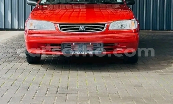 Buy Used Toyota Corolla Other Car in Maseru in Maseru