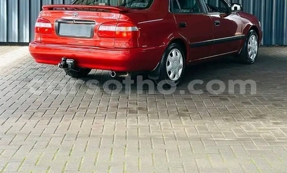 اشتري مستعمل Toyota Corolla Other سيارة في Maseru في Maseru اشتري مستعمل Toyota Corolla Other سيارة في Maseru في Maseru