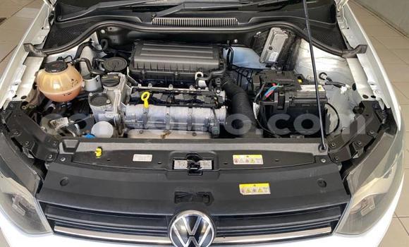 Buy Used Volkswagen Polo White Car in Thaba–Tseka in Mafeteng Buy Used Volkswagen Polo White Car in Thaba–Tseka in Mafeteng