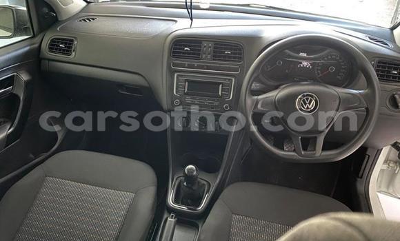 Buy Used Volkswagen Polo White Car in Thaba–Tseka in Mafeteng Buy Used Volkswagen Polo White Car in Thaba–Tseka in Mafeteng