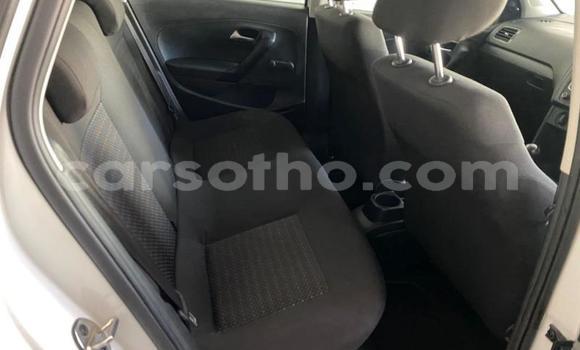 Buy Used Volkswagen Polo White Car in Thaba–Tseka in Mafeteng Buy Used Volkswagen Polo White Car in Thaba–Tseka in Mafeteng