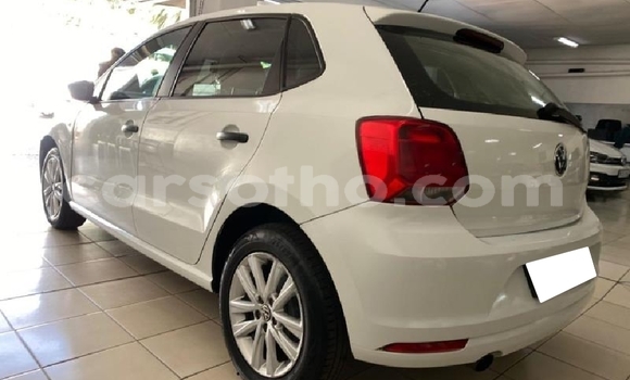 Buy Used Volkswagen Polo White Car in Thaba–Tseka in Mafeteng Buy Used Volkswagen Polo White Car in Thaba–Tseka in Mafeteng
