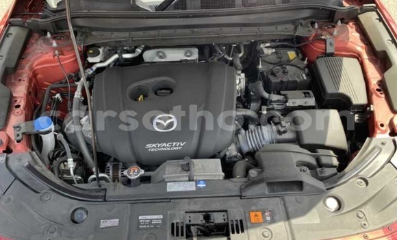 Buy Used Mazda CX-5 Red Car in Maputsoe in Leribe Buy Used Mazda CX-5 Red Car in Maputsoe in Leribe