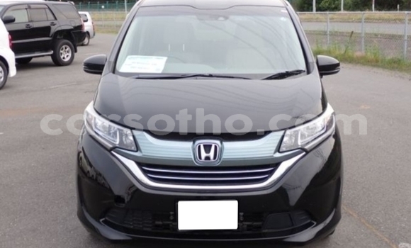 Buy Used Honda Freed Black Car in Butha–Buthe in Thaba-Tseka Buy Used Honda Freed Black Car in Butha–Buthe in Thaba-Tseka