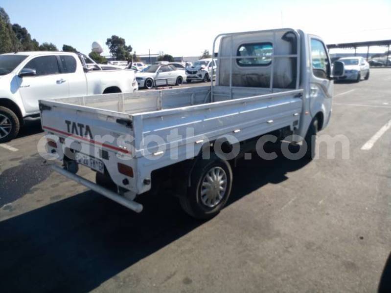 Big with watermark tata sumo mafeteng mafeteng 31972