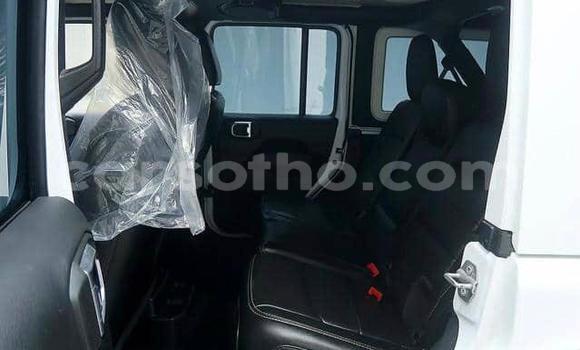 Buy Used Jeep Wrangler White Car in Maputsoe in Leribe Buy Used Jeep Wrangler White Car in Maputsoe in Leribe