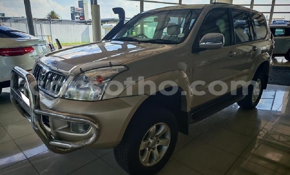 اشتري مستعمل Toyota Land Cruiser Prado Other سيارة في Qacha's Nek في Quthing اشتري مستعمل Toyota Land Cruiser Prado Other سيارة في Qacha's Nek في Quthing
