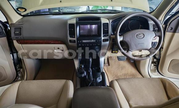 اشتري مستعمل Toyota Land Cruiser Prado Other سيارة في Qacha's Nek في Quthing اشتري مستعمل Toyota Land Cruiser Prado Other سيارة في Qacha's Nek في Quthing