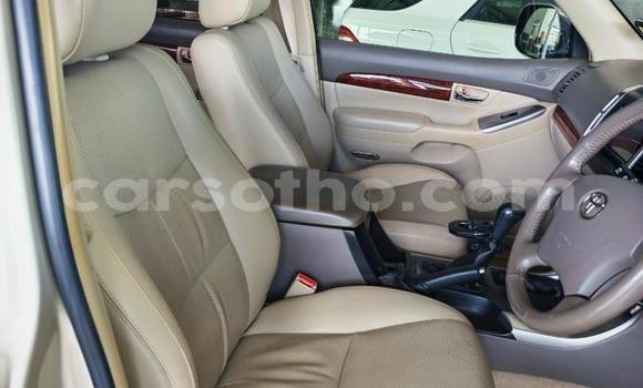 اشتري مستعمل Toyota Land Cruiser Prado Other سيارة في Qacha's Nek في Quthing اشتري مستعمل Toyota Land Cruiser Prado Other سيارة في Qacha's Nek في Quthing