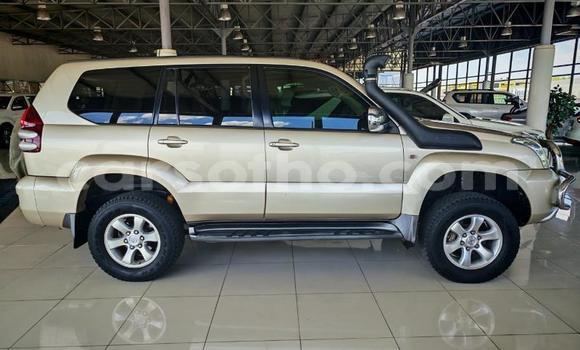 اشتري مستعمل Toyota Land Cruiser Prado Other سيارة في Qacha's Nek في Quthing اشتري مستعمل Toyota Land Cruiser Prado Other سيارة في Qacha's Nek في Quthing
