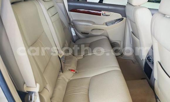 اشتري مستعمل Toyota Land Cruiser Prado Other سيارة في Quthing في Butha-Buthe اشتري مستعمل Toyota Land Cruiser Prado Other سيارة في Quthing في Butha-Buthe