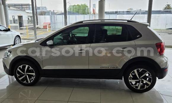 Buy Used Volkswagen Polo Silver Car in Peka in Leribe Buy Used Volkswagen Polo Silver Car in Peka in Leribe