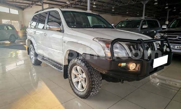 Buy Used Toyota Land Cruiser Prado White Car in Roma in Maseru