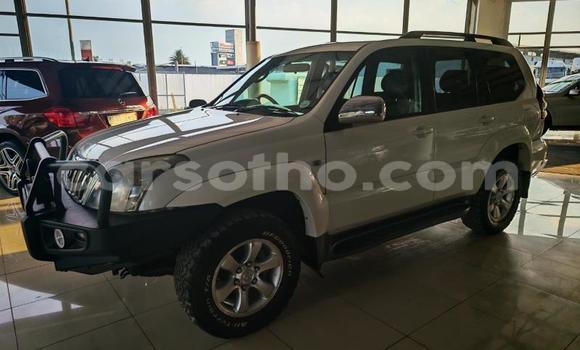 Buy Used Toyota Land Cruiser Prado White Car in Roma in Maseru Buy Used Toyota Land Cruiser Prado White Car in Roma in Maseru